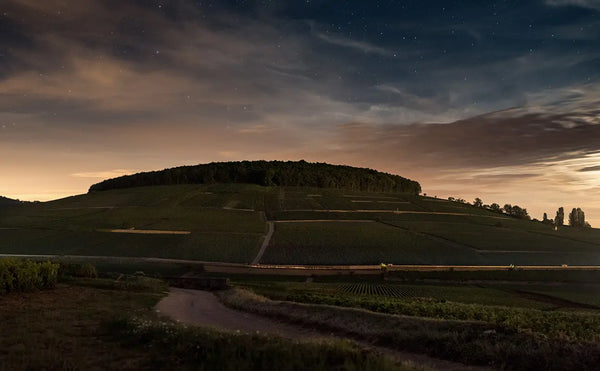 Domaine des Croix a Beaune