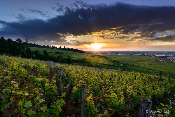 Domaine des Croix a Beaune
