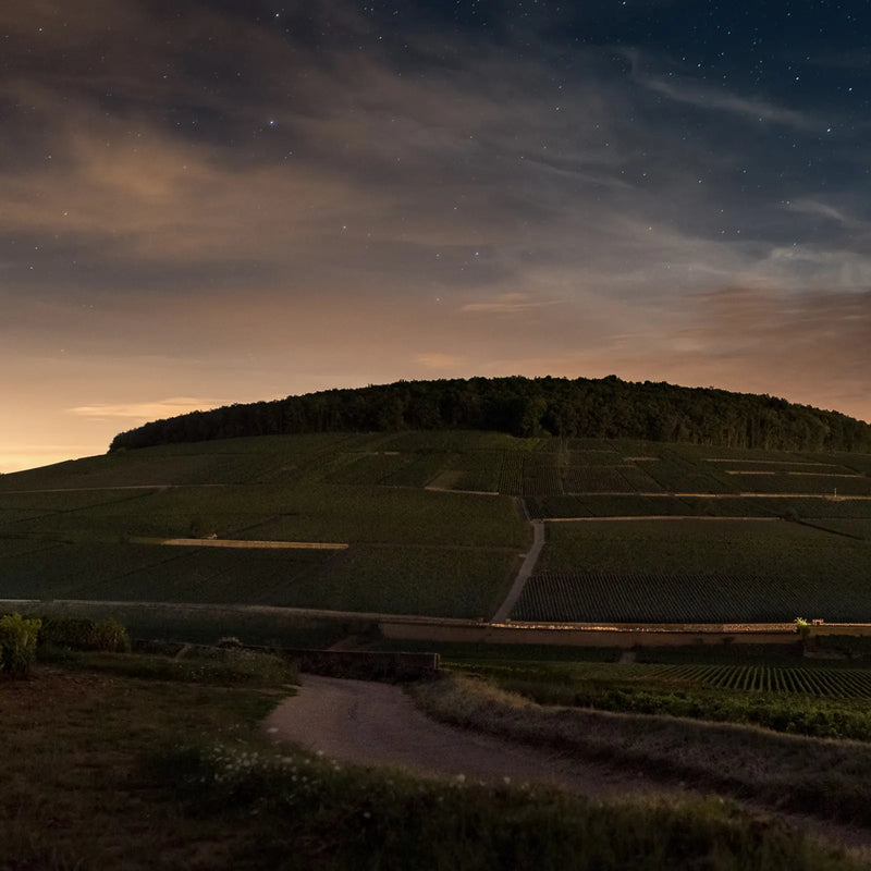Domaine des Croix a Beaune